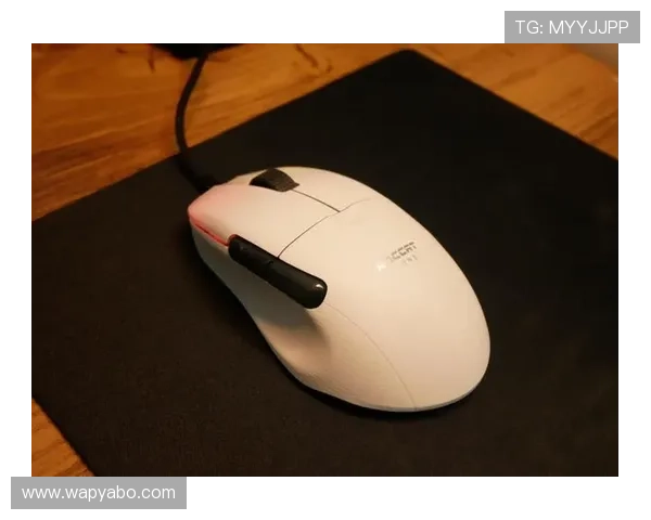 亚博体育旗舰厅官方地址使用技巧，提升您的游戏体验与账户安全保障能力