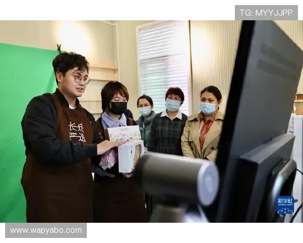 亚博YaBo在线登录入口最新更新，确保用户顺畅访问与账号安全保障