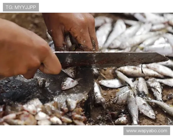 亚博捕鱼:详细介绍各种捕鱼游戏的规则与操作技巧 亚博捕鱼:详细介绍各种捕鱼游戏的规则与操作技巧