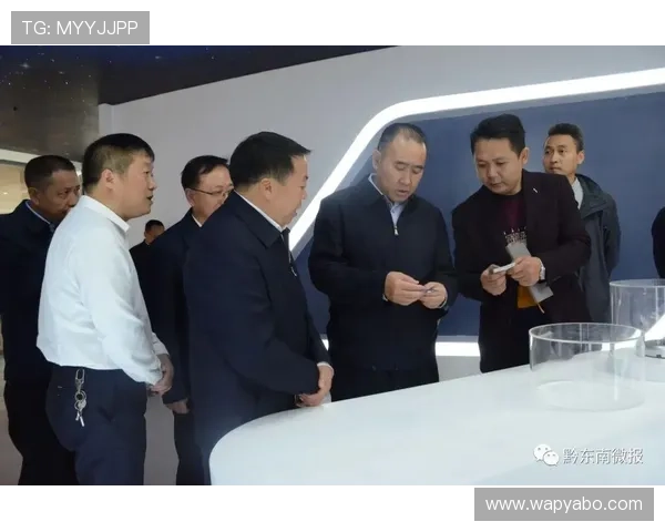 亚博标准网投平台安全措施与风险控制策略详解 亚博标准网投平台安全措施与风险控制策略详解
